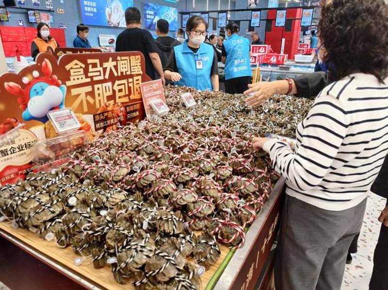 贸易代理行业的最新动态:连接全球市场的桥梁